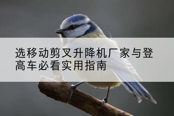 来宾电动升降机厂家-选移动剪叉升降机厂家与登高车必看实用指南