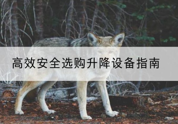 来宾升降货梯厂家推荐-*安全选购升降设备指南
